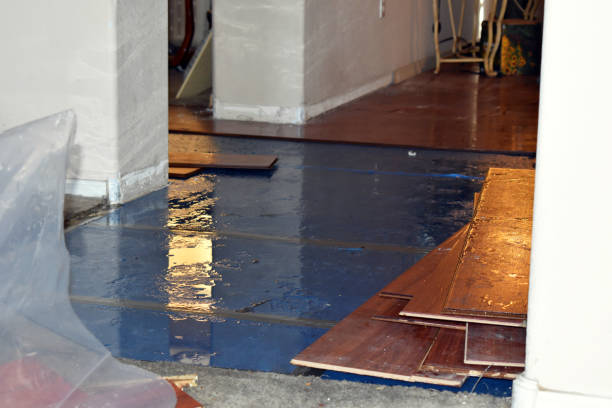 Professional Emergency Water Damage Restoration technician working in Andover, MA